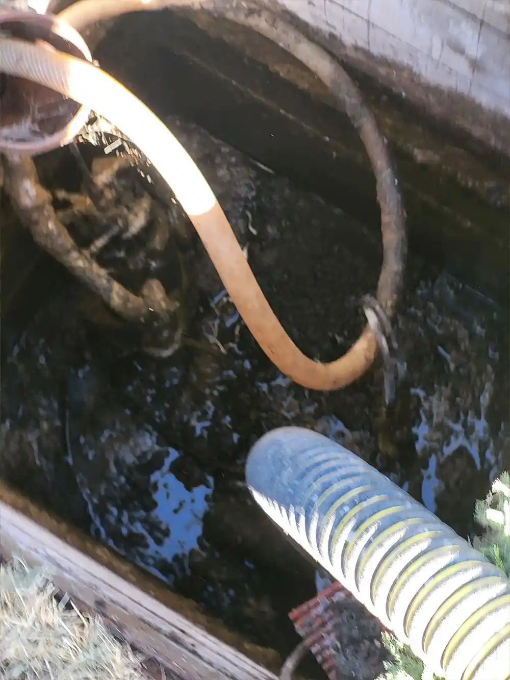 Septic Tank Survey